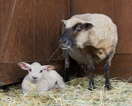 Loving mom Daisy and precious baby Dash
