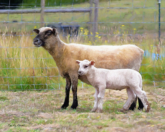 Close By Mother's Side
