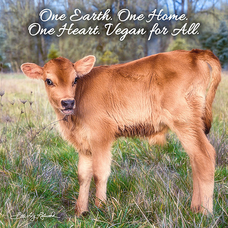 One Earth. One Home. One Heart. Vegan for All.