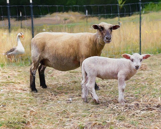 Side-by-side -- new mom Daisy protects her beautiful baby Dash.