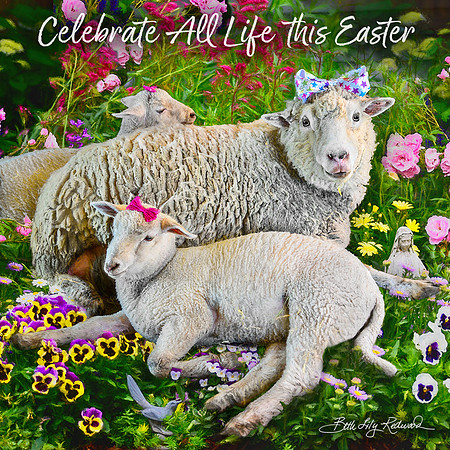 Celebrate all life this Easter