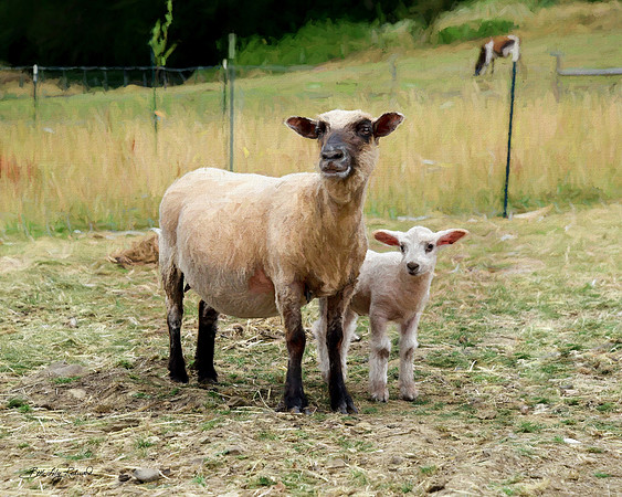 Safe with Mama