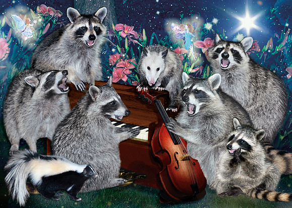 Music of the Night