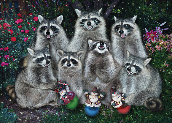 Joyful Raccoons