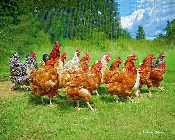 A Chorus Line